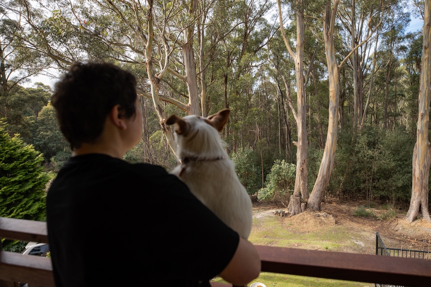 A woman and her dog from behind looking out towards trees