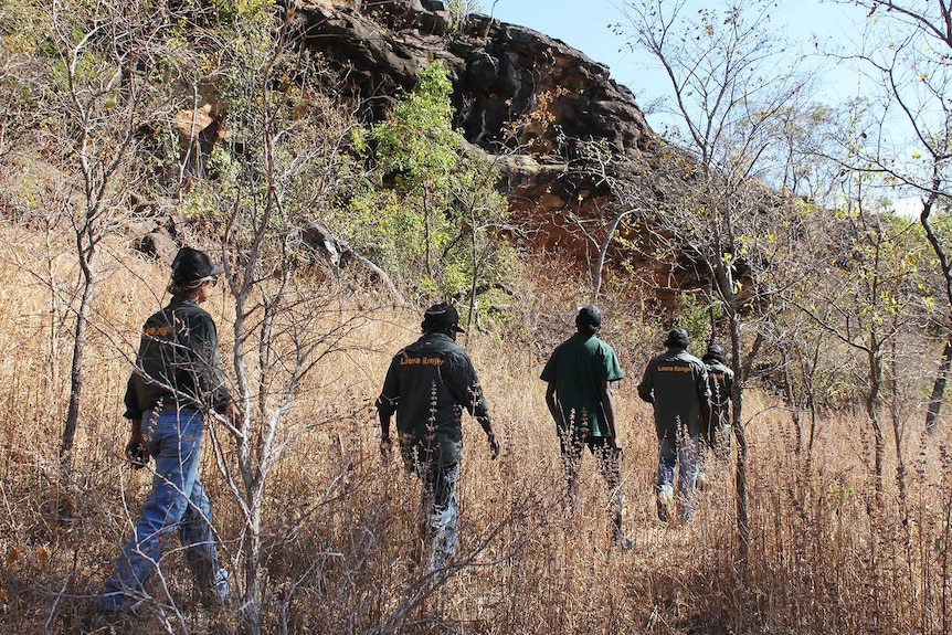 people in the bush