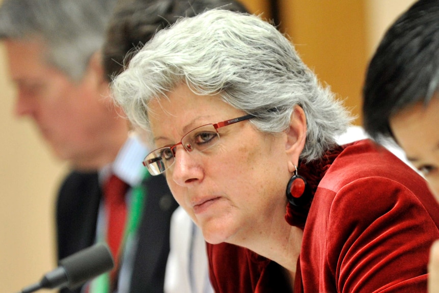 A tight side-on head shot of Robyn Kruk wearing glasses and a red top during a Senate inquiry hearing.