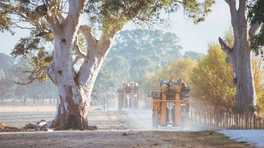 Tractors travelling across a vineyard.