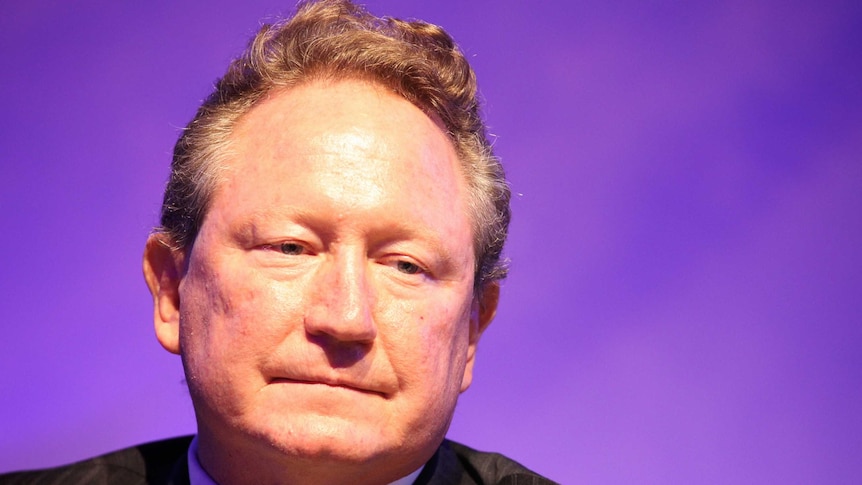 Andrew Forrest looking glum