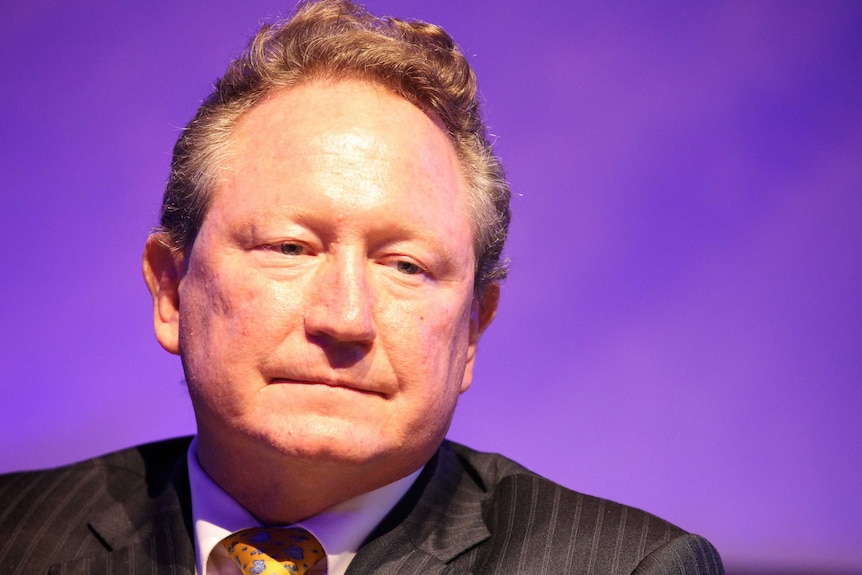 Andrew Forrest looking glum