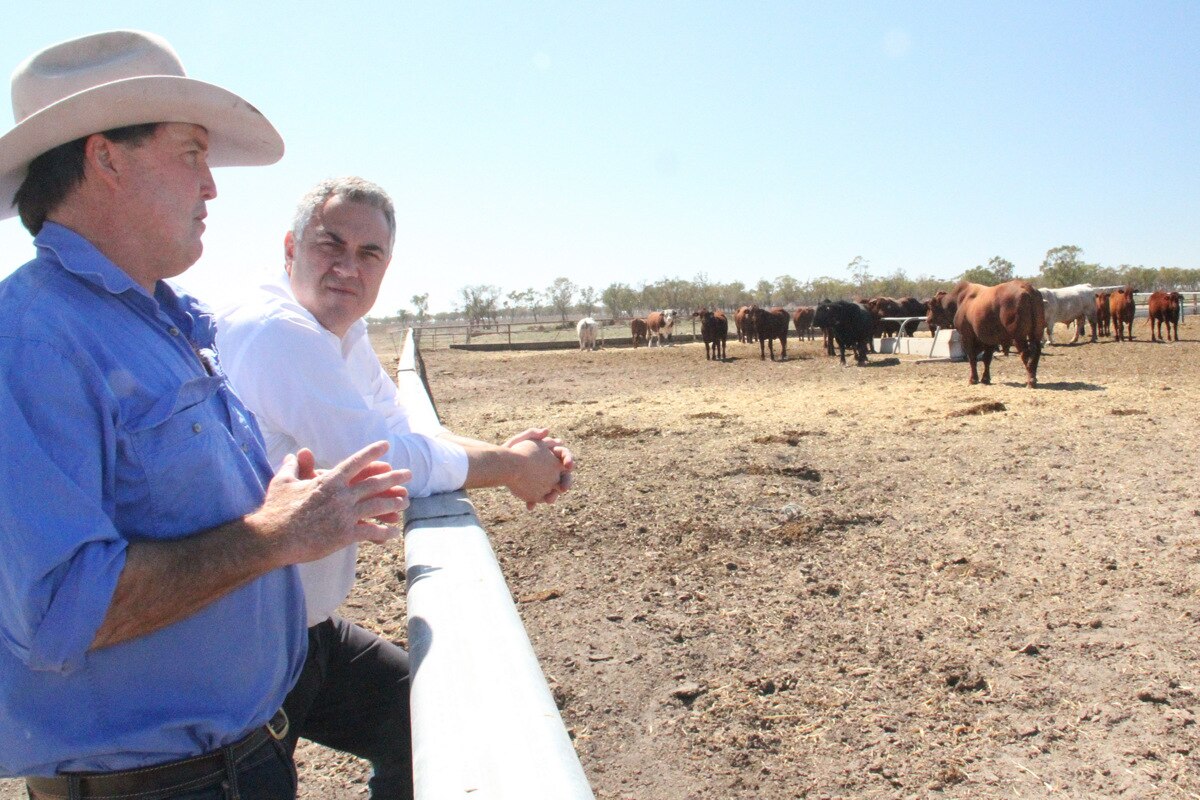 Federal Government's drought roundtable too little, too late, farmers ...
