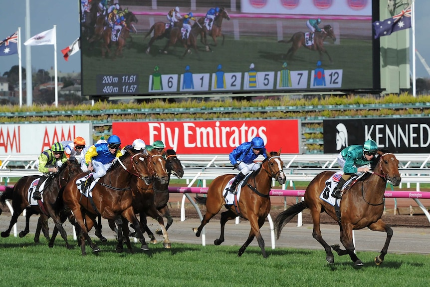 Damian Lane on Humidor wins the Makybe Diva Stakes at Flemington in September 2017.