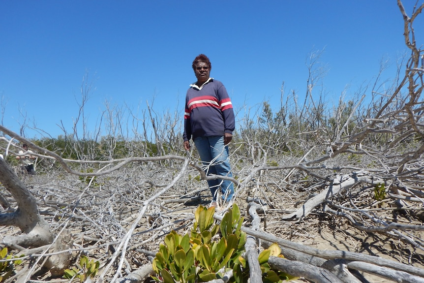 Patsy Evans standing among dead mangroves.