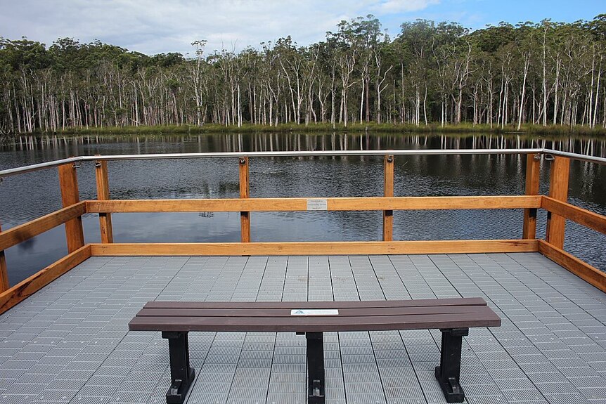 A view of water and trees from the Urunga Wetlands boardwalk.