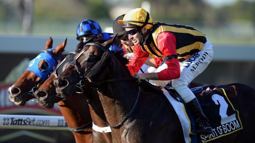 Spirit of Boom wins the Doomben 10,000