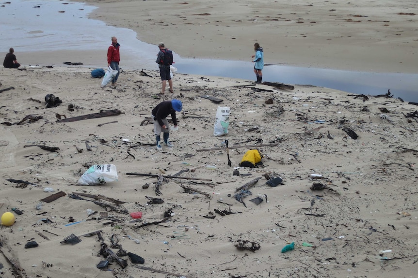 Volunteers collect tens of thousands of pieces of rubbish