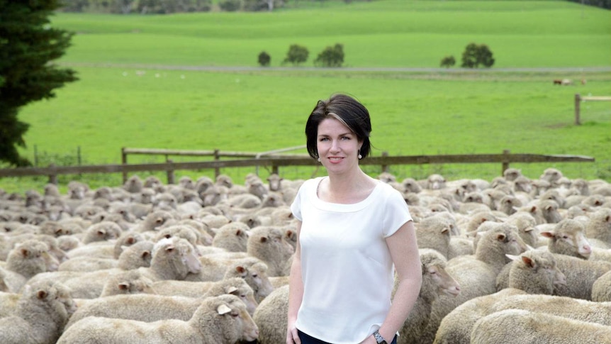 A woman in jeans and a white top stands in front of a pen filled with sheep amid grassy hills.