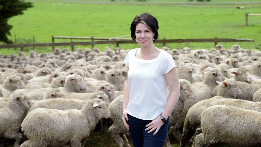 A woman in jeans and a white top stands in front of a pen filled with sheep amid grassy hills.