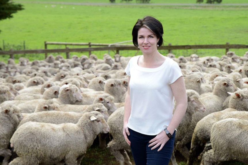 A woman in jeans and a white top stands in front of a pen filled with sheep amid grassy hills.