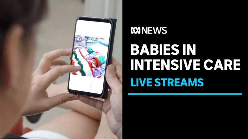 Babies in Intensive Care, Live Streams: A woman holds phone showing an image of a baby sleeping.