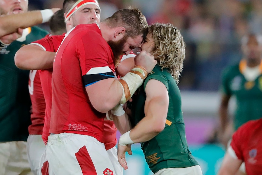 A Welsh player scuffles with a South African opponent at the Rugby World Cup.