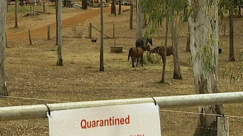 Quarantined property at Cawarral, near Rockhampton in 2009