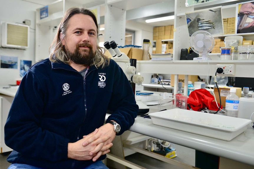 Man in the lab talking to Landline about cuttlefish