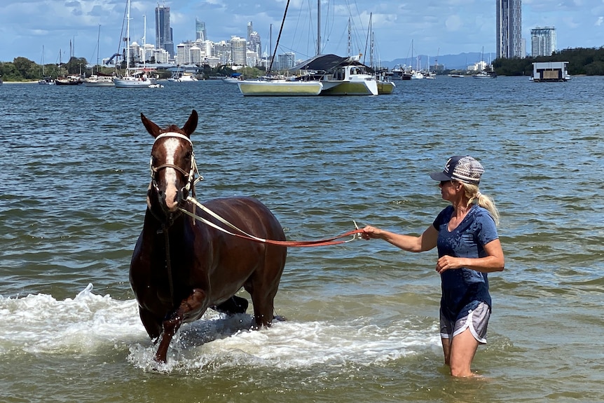 Woman with blonde hair and cap holding a brown horse in knee-deep water. 