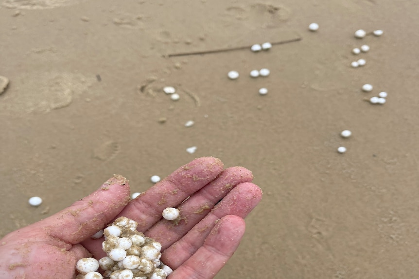 a hand full of plastic beads on a beach
