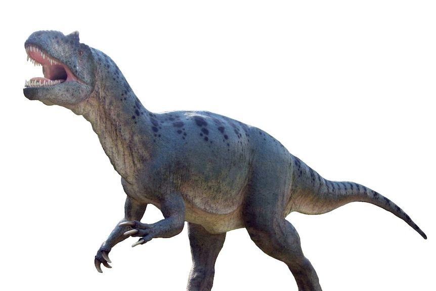 A model of an Allosaurus dinosaur taken in Poland.