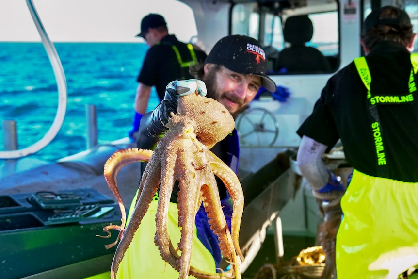 A deckhand holding an octopus