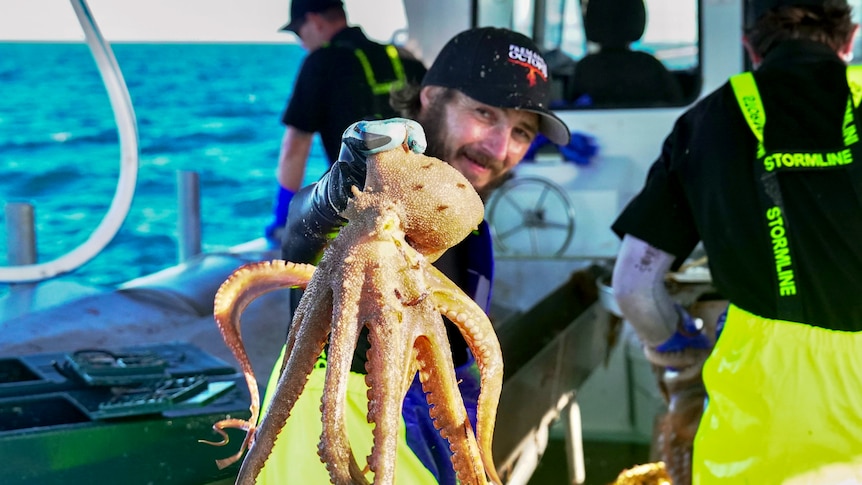 A deckhand holding an octopus