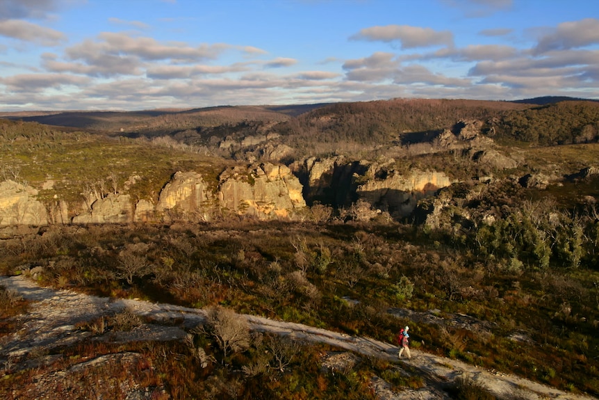 Two bushwalkers on a track in a vast canyon.