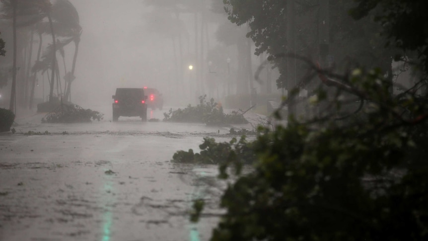 Vehicles drive along Ocean Drive in South Beach where trees have been knocked down.