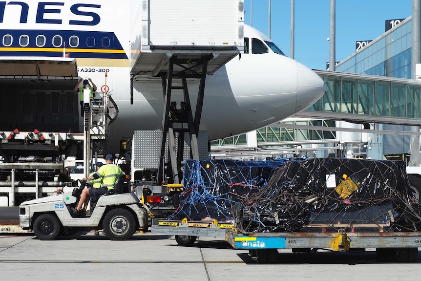 A plane is loaded with cargo at Adelaide Airport.