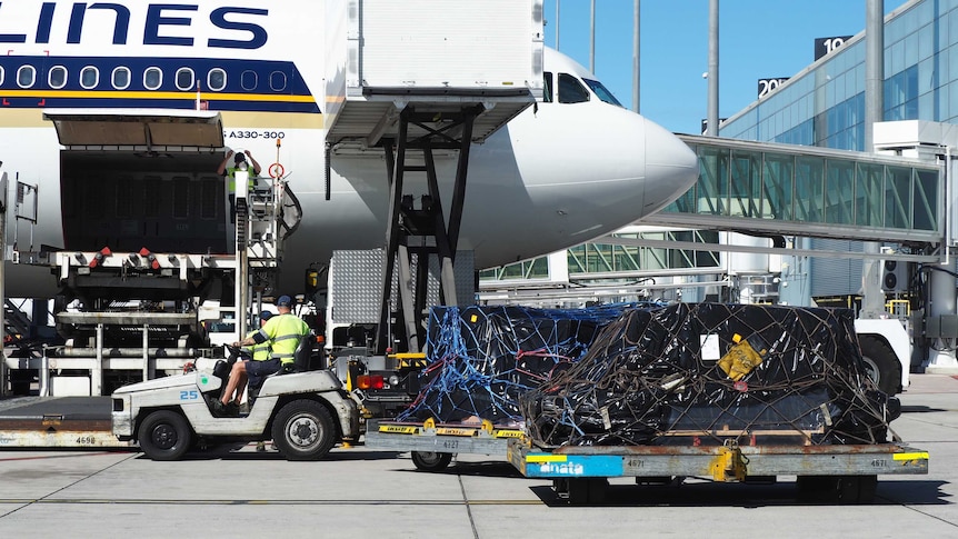 A plane is loaded with cargo at Adelaide Airport.