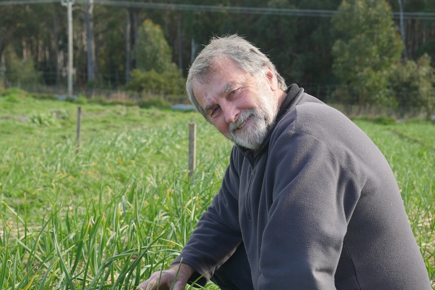 A man with a white grey beard crouches in front of rows of planted garlic, smiling.
