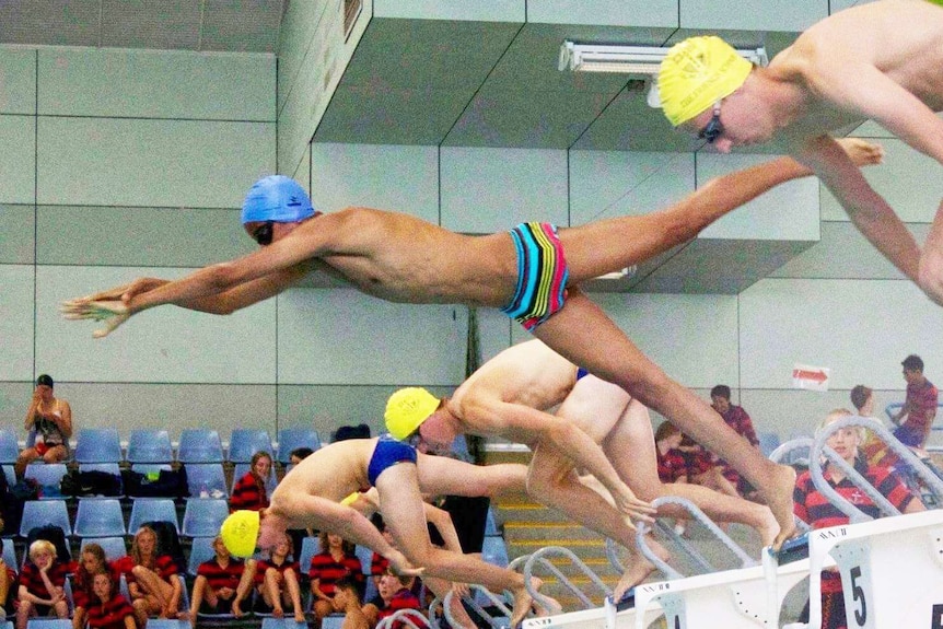 Swimmer Ahmed Awad leaps off the block alongside competitors.