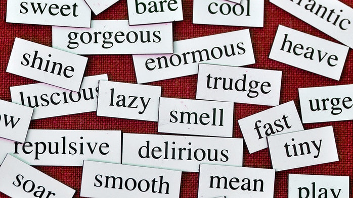A selection of random words on fridge magnets