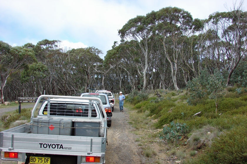 Four-wheel drives in Namadgi National Park carrying senior counsel