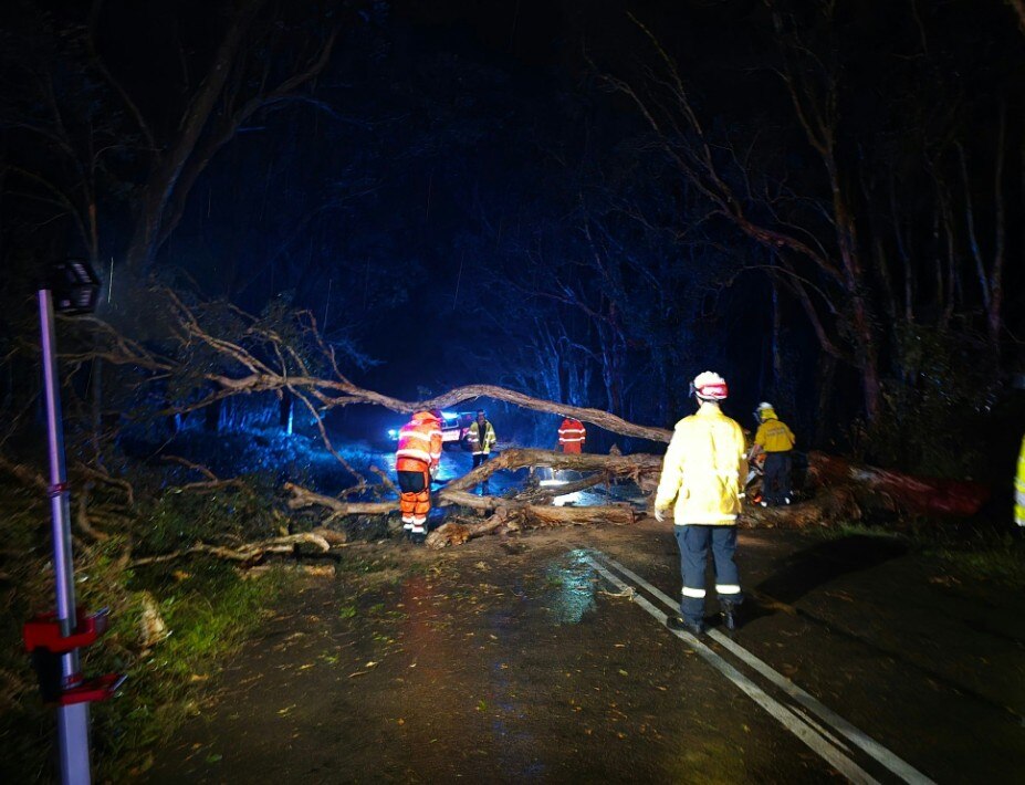 SES crews work to remove a fallen tree from a road in the dark.