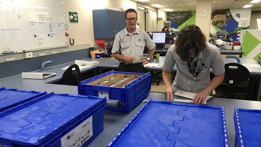 Biosecurity officers inspect seeds from Australian genebanks before they are sent to the global seed vault in Norway.
