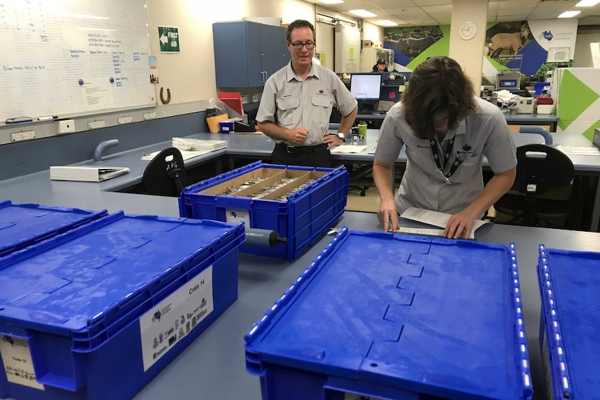 Biosecurity officers inspect seeds from Australian genebanks before they are sent to the global seed vault in Norway.