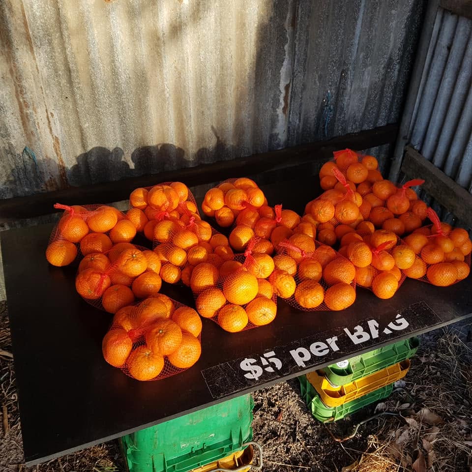 'Insane' spike in thefts forces roadside honesty stalls to close