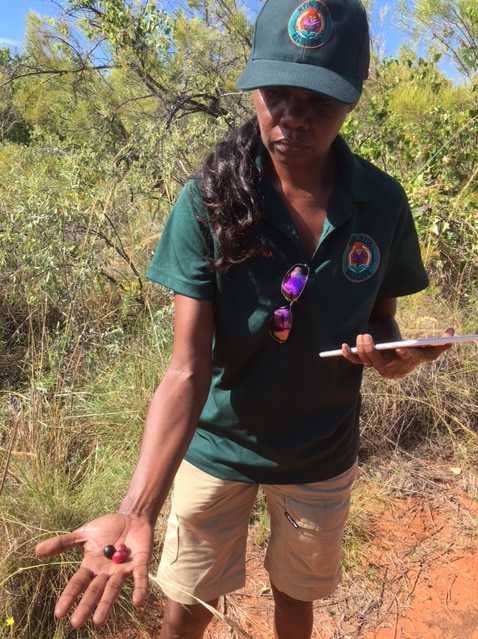 Ranger Devena Cox says local plants were used in many aspects of Indigenous people's lives.