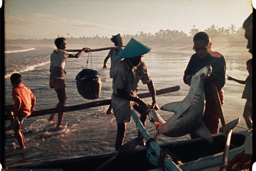 A film photograph showing Balinese fisherman handling a shark on the beach. 