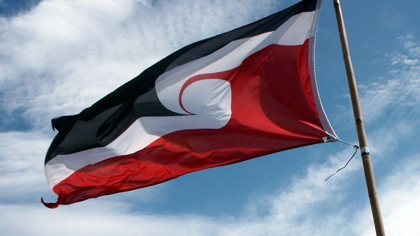 The Tino Rangatiratanga flag