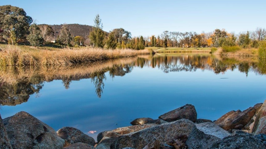 A small catchment in Canberra