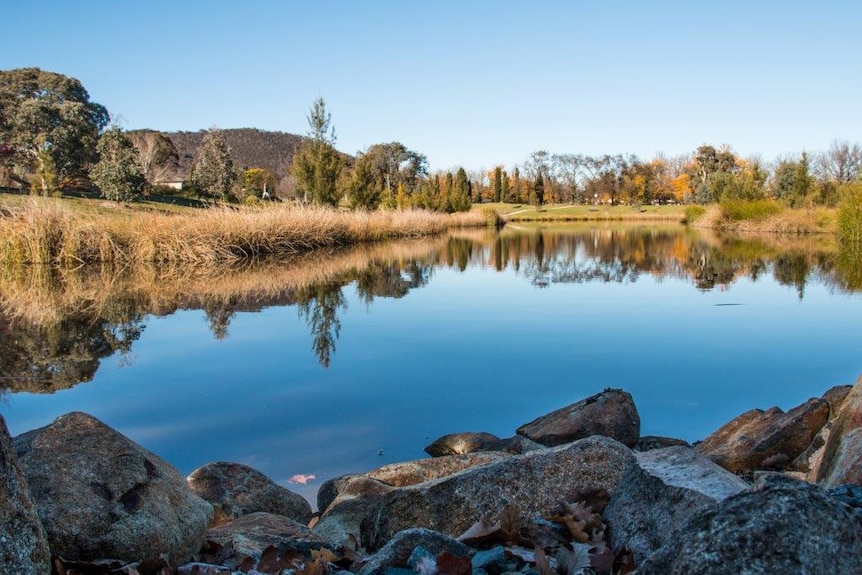 A small catchment in Canberra