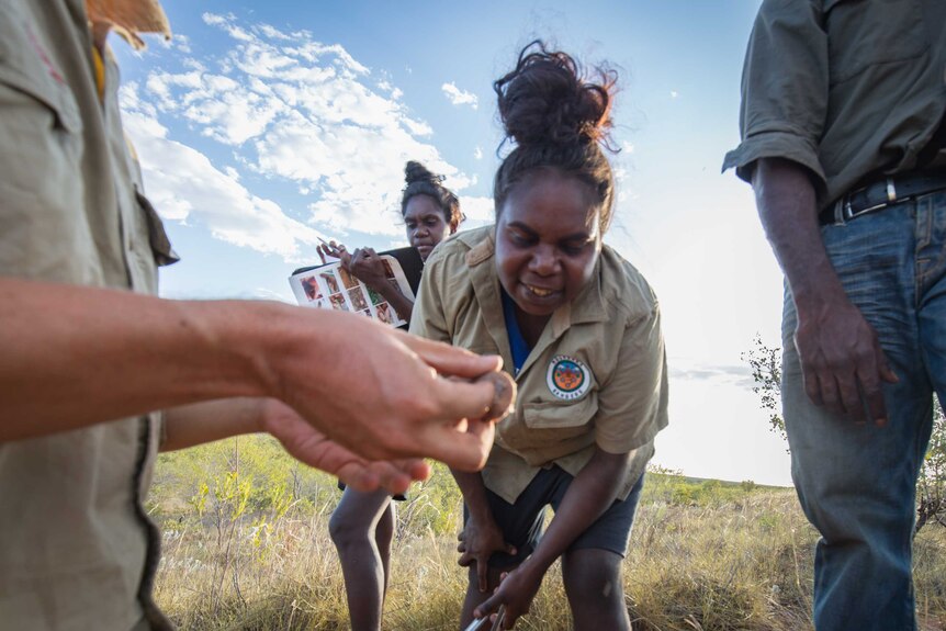 An Indigenous woman wearing a ranger shirt bends to examine something her colleague is holding.