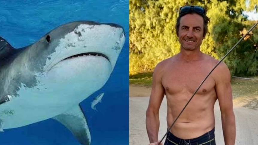 photo of shark next to man holding fishing gear