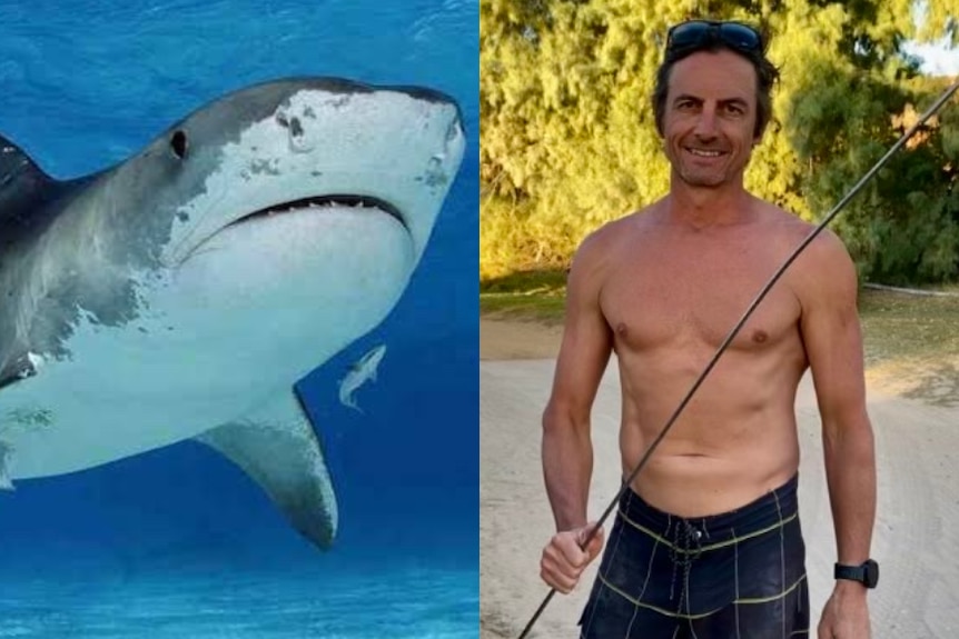 photo of shark next to man holding fishing gear