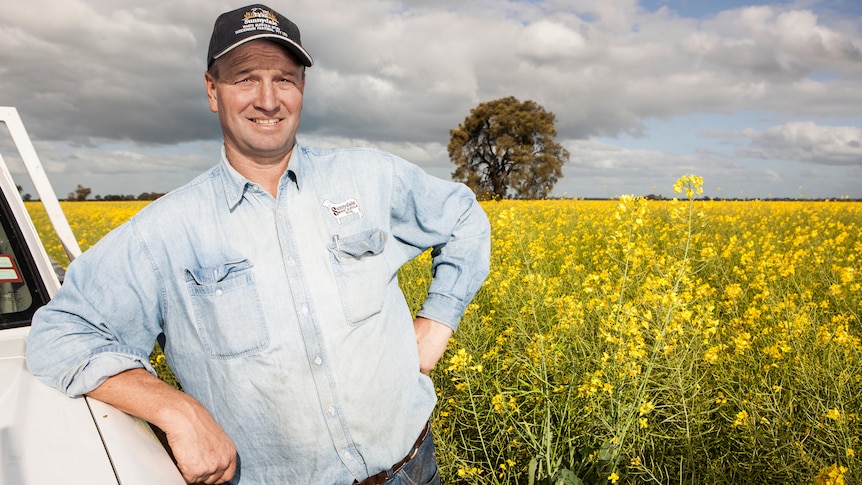 Grain Producers Australia chairman Andrew Weidemann standing in a paddock.