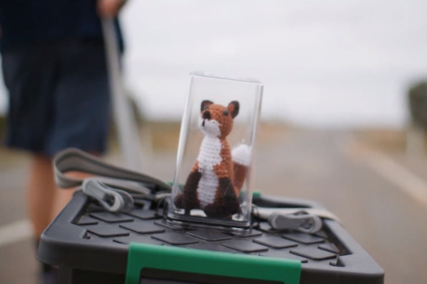 Dr Peter Hill's crocheted fox Jeremy Bronfox inside his makeshift home, sitting on top of a skateboard