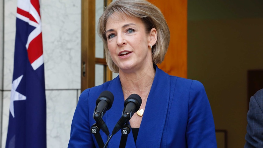 Minister for Employment Michaelia Cash speaks at a press conference at Parliament House on November 22, 2016.
