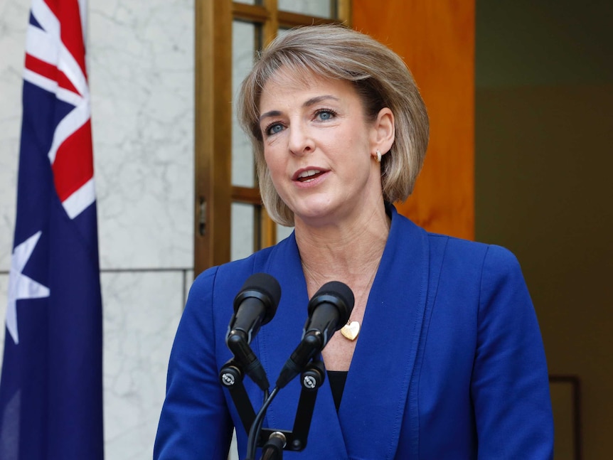 Minister for Employment Michaelia Cash speaks at a press conference at Parliament House.