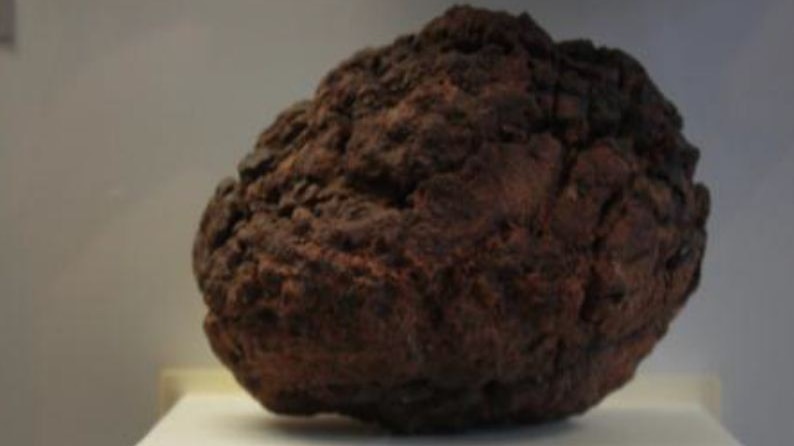 Meteorite worth $16,000 stolen