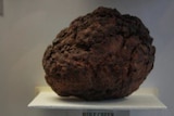 Police said two men broke into an Atherton museum to steal this meteorite worth about $16,000.